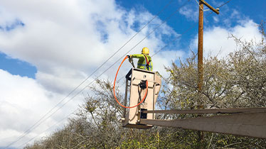 Workers pointing at overhead powerline