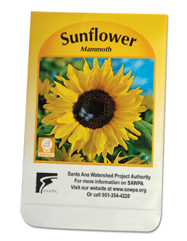 Flower Seed Packets Sunflower 25 Pkg Marketing Advertising Promotion 
